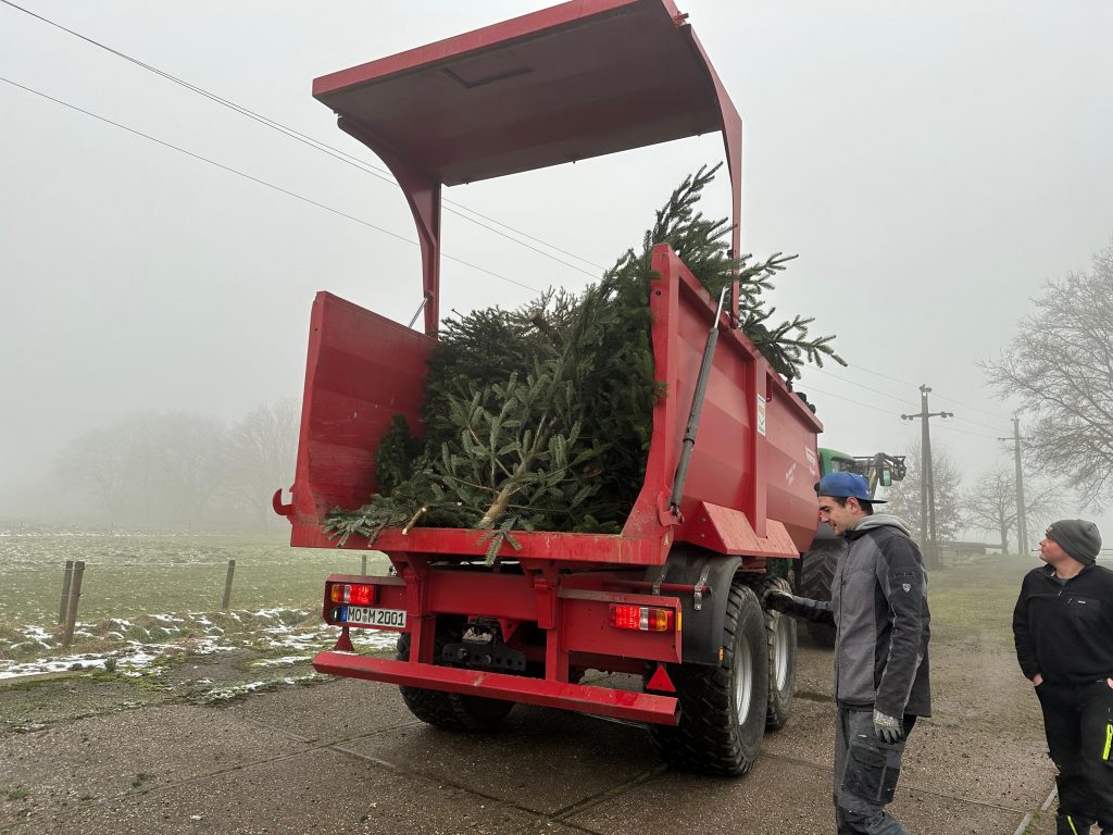 dd606f52-8c73-4606-b2c7-b72dfa881c71