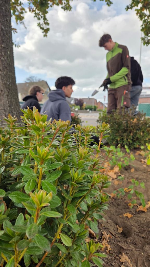 0a391de0-2c46-403c-9d10-07af70aebe96