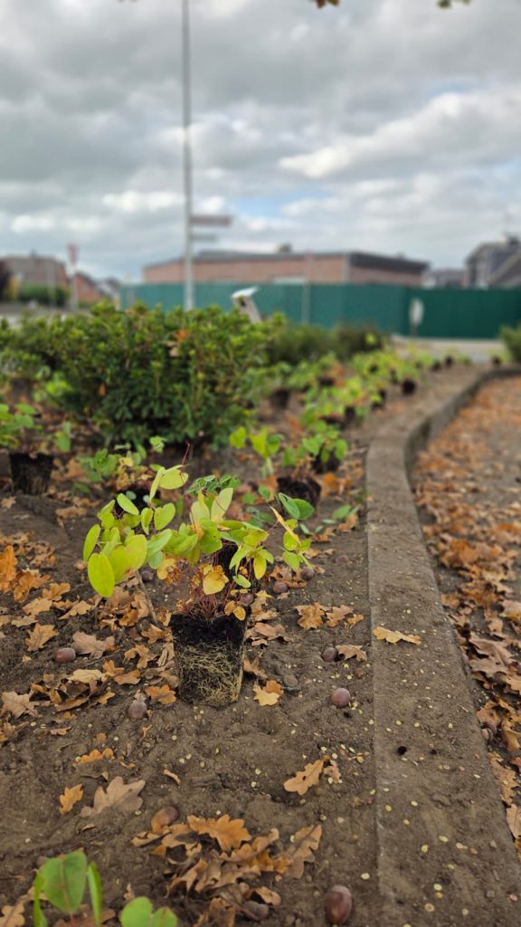 702d8979-10c4-4641-9aba-5986e233cc26