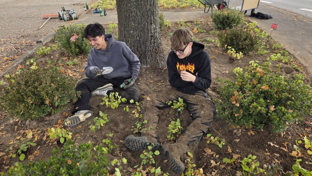 fc613070-81c3-46e7-bb2f-b0f5dcb24b11